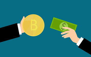 不审核直接放款5000最新口子,本文探讨五款不看征信的贷款平台有哪些？